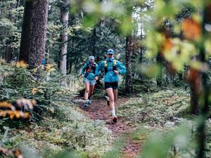 Wälder, Wiesen, Gipfel: Das Pillerseetal ist ein Paradies für Trailrunner