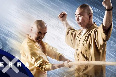 Die Mönche des Shaolin Kung Fu, und Olaf Der Flipper