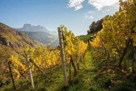 Wo der Herbst nach Kastanien und jungem Wein schmeckt 