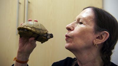 Meredith Monk mit ihrem geliebten Haustier namens Neutron, das sie auch zu ihrem Album "Turtle Dreams“ (1983) inspiriert hat