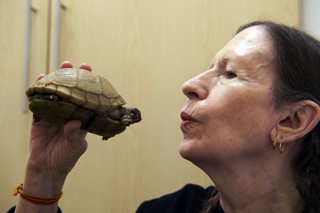 Meredith Monk mit ihrem geliebten Haustier namens Neutron, das sie auch zu ihrem Album "Turtle Dreams“ (1983) inspiriert hat
