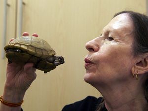 Meredith Monk mit ihrem geliebten Haustier namens Neutron, das sie auch zu ihrem Album "Turtle Dreams“ (1983) inspiriert hat Meredith Monk mit ihrem geliebten Haustier namens Neutron, das sie auch zu ihrem Album "Turtle Dreams“ (1983) inspiriert hat