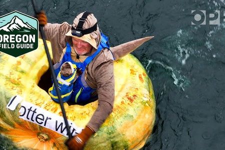 Eine schwimmende Bühne für ein einzigartiges Spektakel, die West Coast Giant Pumpkin Regatta