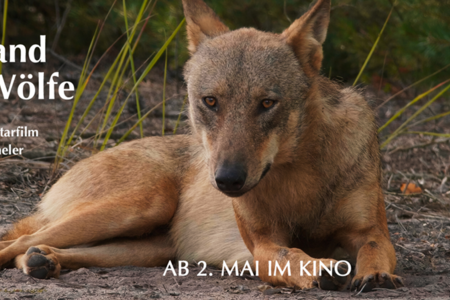 IM LAND DER WÖLFE