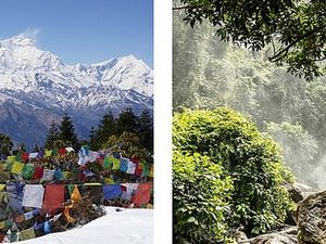 Nepalesische Aussichten und Mönche in Kambodscha Nepalesische Aussichten und Mönche in Kambodscha