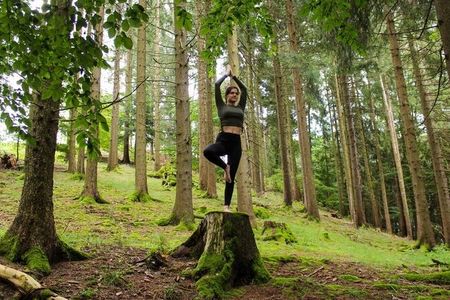 Das stressreduzierende Programm „Yoga-Wochenende im Mühlviertel“ von Indigourlaub umfasst täglich zwei Yoga-Einheiten sowie Waldbaden nach japanischer Tradition 