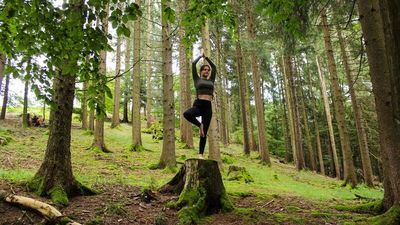 Das stressreduzierende Programm „Yoga-Wochenende im Mühlviertel“ von Indigourlaub umfasst täglich zwei Yoga-Einheiten sowie Waldbaden nach japanischer Tradition 