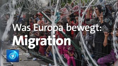 Tausende Migranten sind in den vergangenen Wochen auf Lampedusa angekommen
