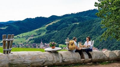 Der 30 Meter lange Baumstamm auf dem „Harmersbacher Vesperweg“ im Schwarzwald ist ein besonderer Rastplatz mit Aussicht ins Tal