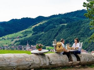 Der 30 Meter lange Baumstamm auf dem „Harmersbacher Vesperweg“ im Schwarzwald ist ein besonderer Rastplatz mit Aussicht ins Tal Der 30 Meter lange Baumstamm auf dem „Harmersbacher Vesperweg“ im Schwarzwald ist ein besonderer Rastplatz mit Aussicht ins Tal