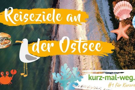 Yareds Zeitreisen 