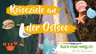 Yareds Zeitreisen 