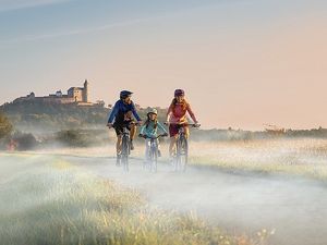 Frühmorgens auf dem Labská stezka – wenn der Nebel noch über den Wiesen liegt und mittelalterliche Burgen aus der Ferne grüßen, beginnt eine der stimmungsvollsten Etappen des tschechischen Elberadwegs Frühmorgens auf dem Labská stezka – wenn der Nebel noch über den Wiesen liegt und mittelalterliche Burgen aus der Ferne grüßen, beginnt eine der stimmungsvollsten Etappen des tschechischen Elberadwegs