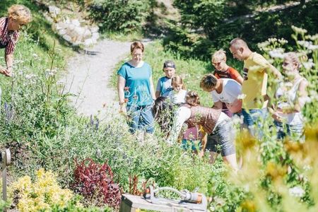 WunderWanderWeg oberhalb von St. Anton am Arlberg erfahren Familien an interaktiven Stationen Spannendes über die Natur und wie sie zu deren Erhaltung beitragen können