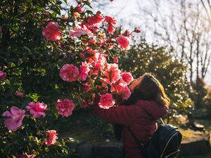 Vom 18. bis 22. März 2026 feiert Locarno die 27. Ausgabe der „Camelie Locarno“, ein weiteres Symbol des Frühlings im Tessin Vom 18. bis 22. März 2026 feiert Locarno die 27. Ausgabe der „Camelie Locarno“, ein weiteres Symbol des Frühlings im Tessin