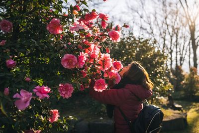 Vom 18. bis 22. März 2026 feiert Locarno die 27. Ausgabe der „Camelie Locarno“, ein weiteres Symbol des Frühlings im Tessin