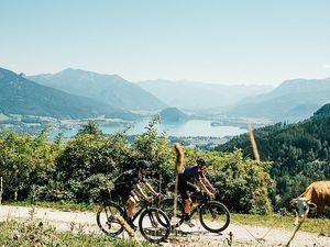 Bei der neuen WOSSA Bikepacking Route, grenzüberschreitendes EU-Projekt zwischen Deutschland und Österreich, geht es neben dem Spaß, dem Naturgenuss und der sportlichen Herausforderung auch um das bewusste Erlebnis des wertvollen Elements Wasser Bei der neuen WOSSA Bikepacking Route, grenzüberschreitendes EU-Projekt zwischen Deutschland und Österreich, geht es neben dem Spaß, dem Naturgenuss und der sportlichen Herausforderung auch um das bewusste Erlebnis des wertvollen Elements Wasser