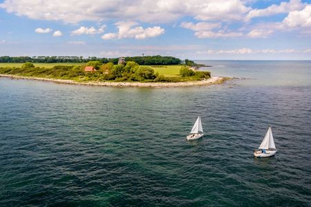 Fehmarn in den Top 10 der beliebtesten Naturreiseziele im Frühling