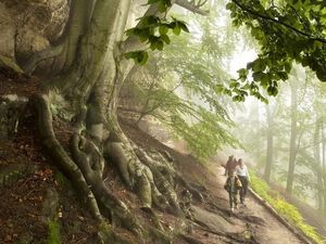 Die Böhmische Schweiz zwischen Tschechien und Sachsen öffnet neue Wege: Ein grenzüberschreitender Wanderpfad verbindet spektakuläre Felslandschaften mit stillen Naturmomenten jenseits nationaler Grenzen Die Böhmische Schweiz zwischen Tschechien und Sachsen öffnet neue Wege: Ein grenzüberschreitender Wanderpfad verbindet spektakuläre Felslandschaften mit stillen Naturmomenten jenseits nationaler Grenzen