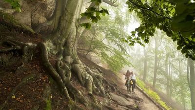 Die Böhmische Schweiz zwischen Tschechien und Sachsen öffnet neue Wege: Ein grenzüberschreitender Wanderpfad verbindet spektakuläre Felslandschaften mit stillen Naturmomenten jenseits nationaler Grenzen