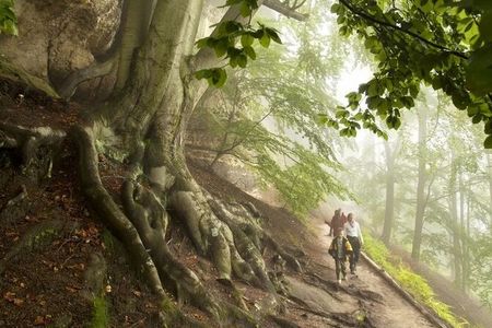 Die Böhmische Schweiz zwischen Tschechien und Sachsen öffnet neue Wege: Ein grenzüberschreitender Wanderpfad verbindet spektakuläre Felslandschaften mit stillen Naturmomenten jenseits nationaler Grenzen