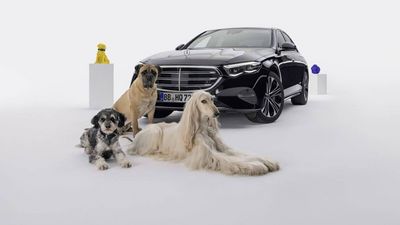 Eddy, Frieda und Aeden haben den neuen Sprachassistenten für Hunde bereits getestet