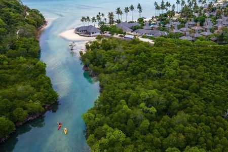 Im SAii Phi Phi Island Village im Südwesten Thailands unternehmen Urlauber Kajaktouren durch den anliegenden Mangrovenwald, den sie mithilfe angebotener Baumpflanz-Aktionen am Leben halten können
