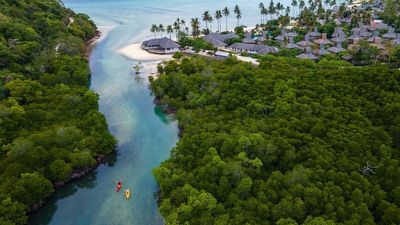 Im SAii Phi Phi Island Village im Südwesten Thailands unternehmen Urlauber Kajaktouren durch den anliegenden Mangrovenwald, den sie mithilfe angebotener Baumpflanz-Aktionen am Leben halten können
