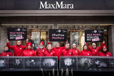 Digitale Protestaktion: Schon über 170.000 E-Mails an Max Mara