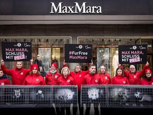 Digitale Protestaktion: Schon über 170.000 E-Mails an Max Mara Digitale Protestaktion: Schon über 170.000 E-Mails an Max Mara