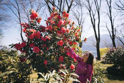 Das Event Camelie Locarno findet in einer Grünanlage am Ufer des Lago Maggiore statt, die über eintausend Pflanzen und 200 Kamelienarten beherbergt