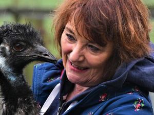 Ute Giesenberg mit Emu Flöte Ute Giesenberg mit Emu Flöte