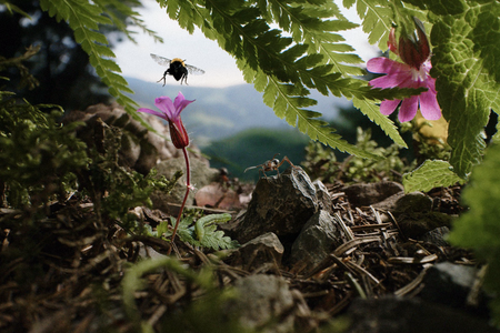 INSEKTEN – HELDEN IM VERBORGENEN 