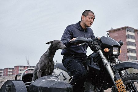 Eigentlich klingt der Plot von "Black Dog - Weggefährten" völlig abstrus