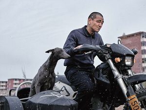 Eigentlich klingt der Plot von "Black Dog - Weggefährten" völlig abstrus Eigentlich klingt der Plot von "Black Dog - Weggefährten" völlig abstrus