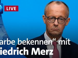Die Farbe sollte Friedrich Merz aus dem Gesicht fallen