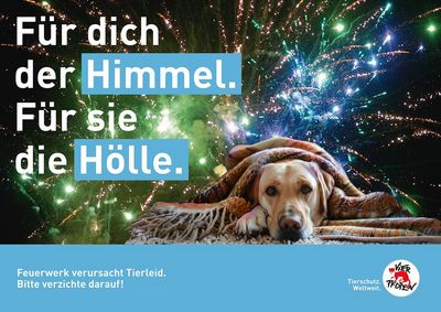 Ballaballa-Böllerei: Die häufigsten Scheinargumente für die Silvesterknallerei