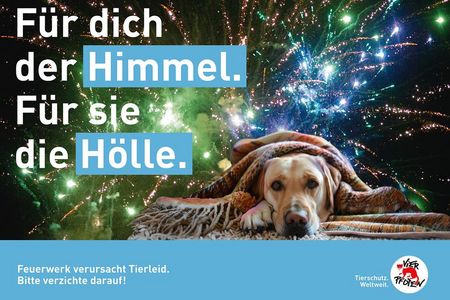 Ballaballa-Böllerei: Die häufigsten Scheinargumente für die Silvesterknallerei
