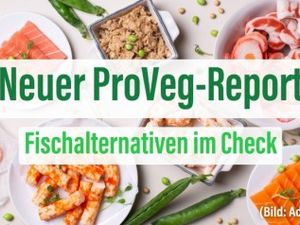 Kompass für pflanzliche Fischalternativen: Der ProVeg-Report ist da Kompass für pflanzliche Fischalternativen: Der ProVeg-Report ist da
