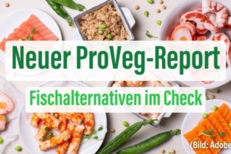 Kompass für pflanzliche Fischalternativen: Der ProVeg-Report ist da