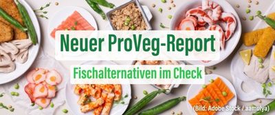 Kompass für pflanzliche Fischalternativen: Der ProVeg-Report ist da
