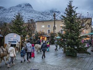 Auf dem Christkindlmarkt in Bad Reichenhall gehört das Spazierenführen flauschiger Lamas zum diesjährigen Kinderprogramm Auf dem Christkindlmarkt in Bad Reichenhall gehört das Spazierenführen flauschiger Lamas zum diesjährigen Kinderprogramm