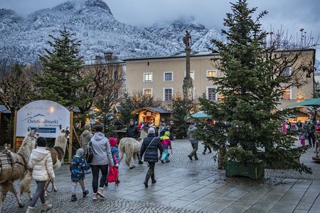 Auf dem Christkindlmarkt in Bad Reichenhall gehört das Spazierenführen flauschiger Lamas zum diesjährigen Kinderprogramm