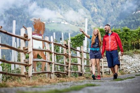 Es gibt viel zu entdecken und lernen auf dem „Weinweg“ in Dorf Tirol, nahe dem Südtiroler Hotel Laurin