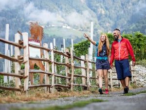 Es gibt viel zu entdecken und lernen auf dem „Weinweg“ in Dorf Tirol, nahe dem Südtiroler Hotel Laurin Es gibt viel zu entdecken und lernen auf dem „Weinweg“ in Dorf Tirol, nahe dem Südtiroler Hotel Laurin