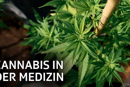 Medizinisches Cannabis als natürlicher Entspannungsbegleiter