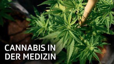 Medizinisches Cannabis als natürlicher Entspannungsbegleiter