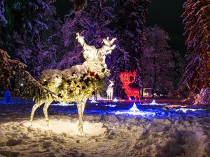 Die Installationen des Lichterparks LUMAGICA in den botanischen Gärten von Schloss Trauttmansdorff, nur einen Katzensprung von Schenna entfernt, laden zum Flanieren und Träumen ein Die Installationen des Lichterparks LUMAGICA in den botanischen Gärten von Schloss Trauttmansdorff, nur einen Katzensprung von Schenna entfernt, laden zum Flanieren und Träumen ein