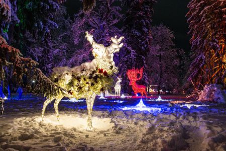 Die Installationen des Lichterparks LUMAGICA in den botanischen Gärten von Schloss Trauttmansdorff, nur einen Katzensprung von Schenna entfernt, laden zum Flanieren und Träumen ein