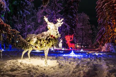 Die Installationen des Lichterparks LUMAGICA in den botanischen Gärten von Schloss Trauttmansdorff, nur einen Katzensprung von Schenna entfernt, laden zum Flanieren und Träumen ein